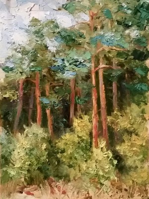 Линькова Ивета «Сосны». Холст на картоне, масло, 2017 г.