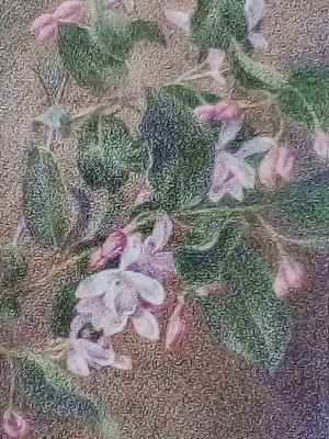 Александр Назаров «Жимолость». Бумага, цветной карандаш. 2017 г.