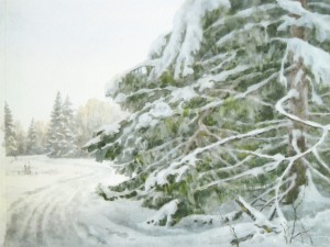 «На Троицкой лыжне». 2015 г.