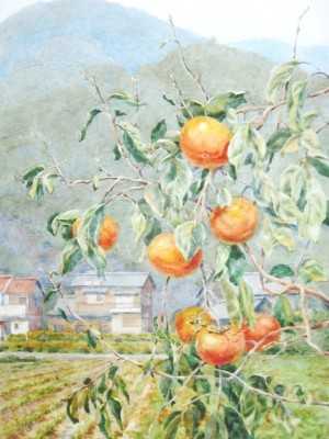 «Японская хурма». Бумага, акварель. 2015 г.