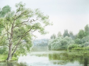 «Простор Десны». 2015 г.