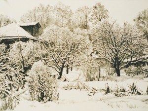 «Зимний сад»