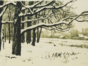 «Старые дубы». Бумага, тушь. 1992 г.