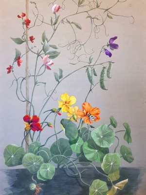 «Настурции и цветной горошек». Цветная бумага, акварель, гуашь. 2012 г.