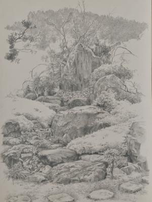 «В саду Томео Хайяши». Бумага, графитный карандаш. 1998 г.