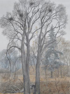 «Покинутые гнезда». Акварель