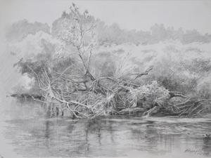 «После разлива». Графитный карандаш. 2009 г.