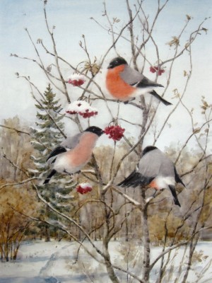 «Снегири». 2013 г.