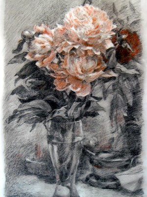 «Пионы». Уголь, сангина. 2016 г.