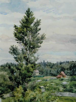 «На окраине леса» Бумага, акварель. 2011 г.